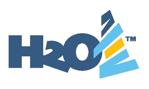 H2O